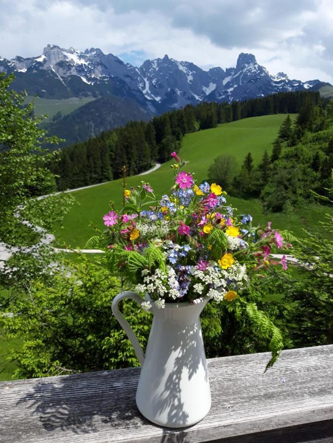 Ferienwohnung Unterduermoos Annaberg im Lammertal Rom bilde